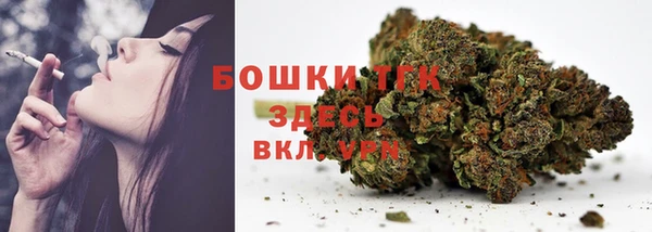 спиды Богородск